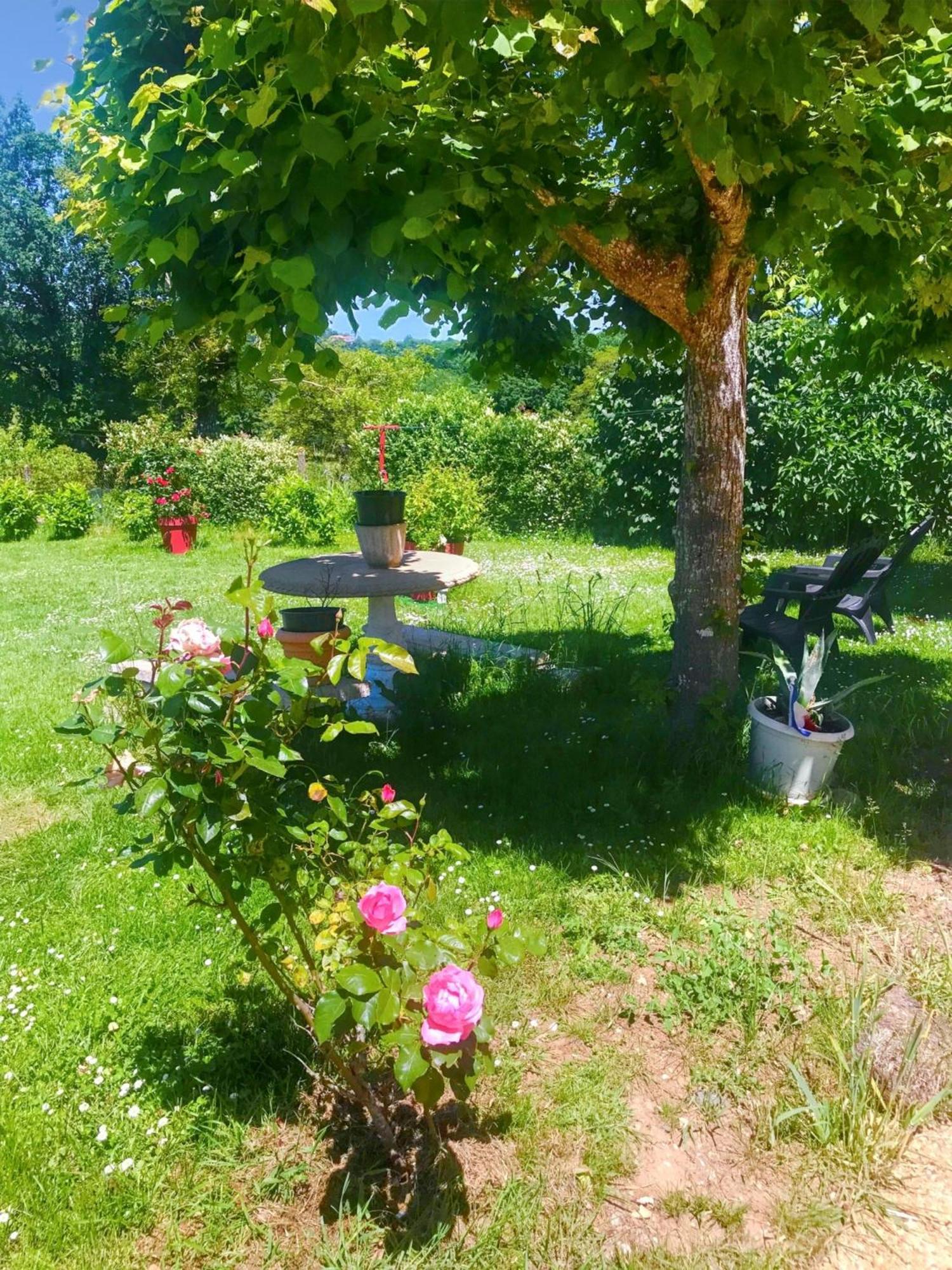 Appartement de 3 chambres avec jardin clos et wifi a Toulonjac Extérieur photo